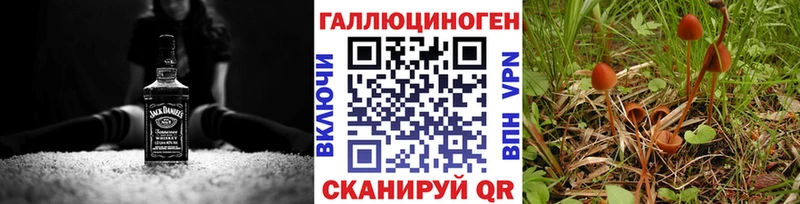 Псилоцибиновые грибы MAGIC MUSHROOMS  Купить где  Рыбное 
